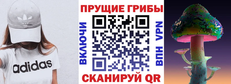 это какой сайт ссылка на мегу рабочий сайт Рубцовск Псилоцибиновые грибы мицелий