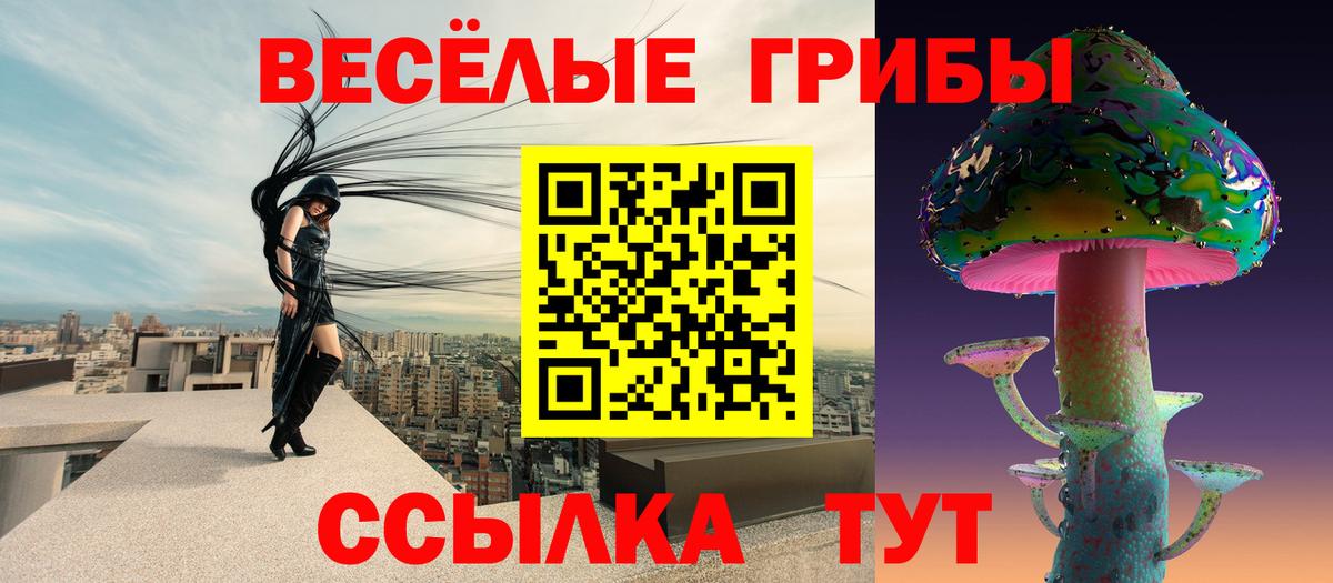 Галлюциногенные грибы прущие грибы Рубцовск